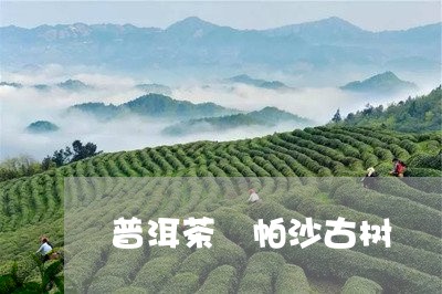 普洱茶 帕沙古树/2023040161724